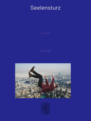cover image of Seelensturz